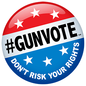 gun voting rights